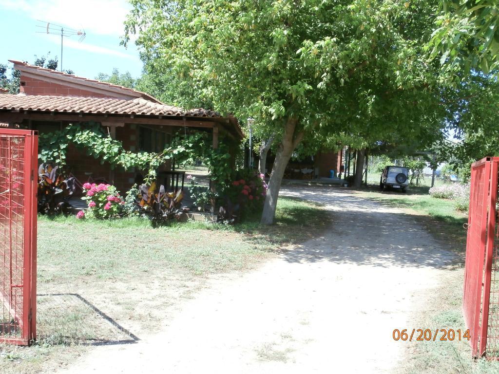 Perseus Studios Skala Rachoni (Thasos) Exterior foto